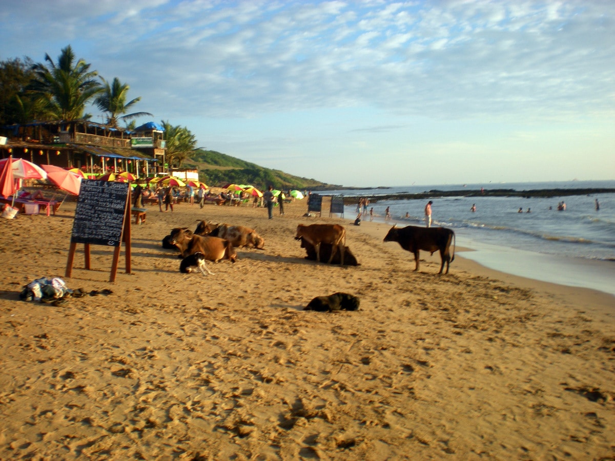 Goa Anjuna Beach