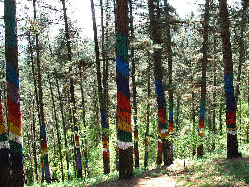 Bosque de Oma