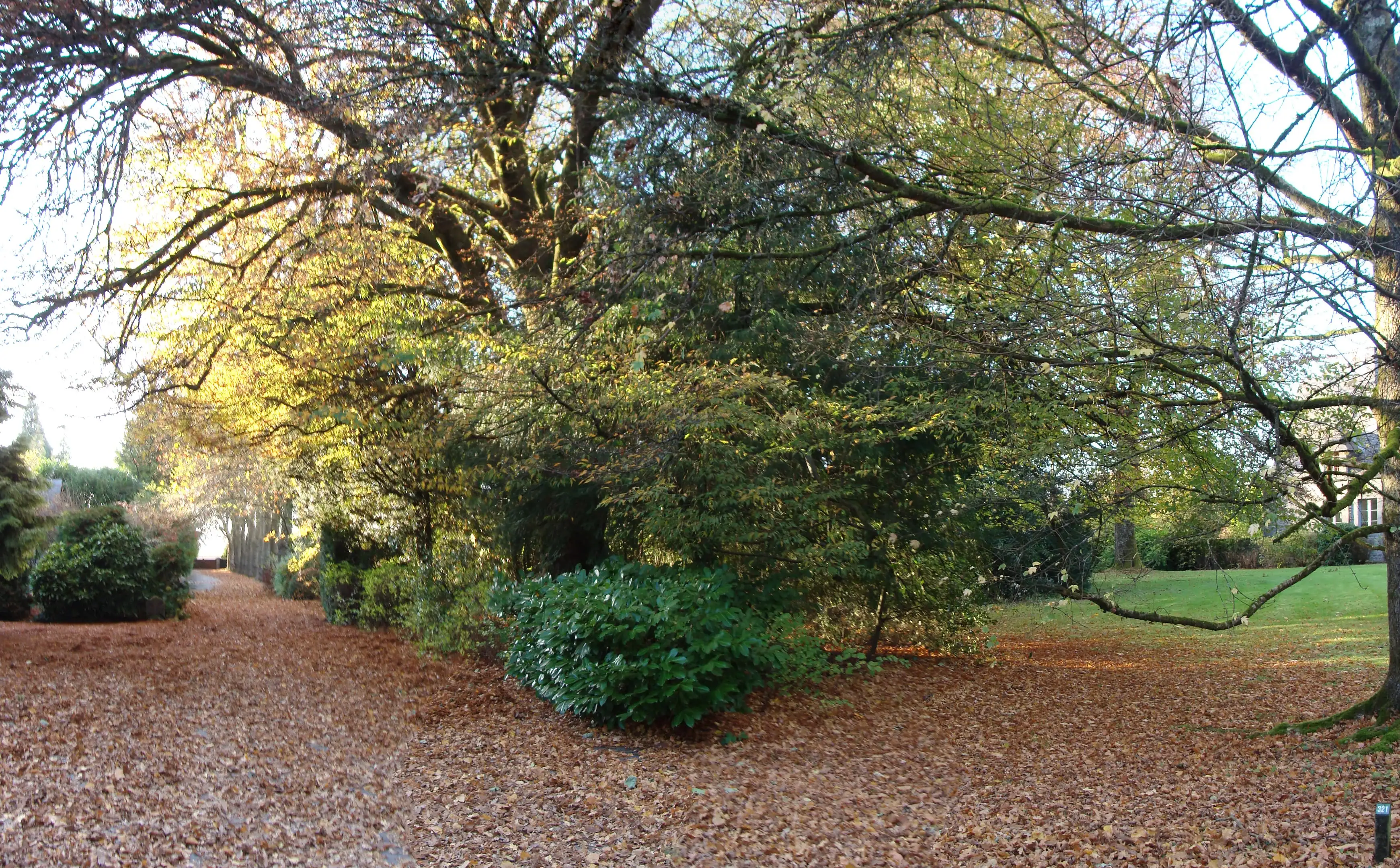 Chimay, Abbaye Notre-Dame de Scourmont