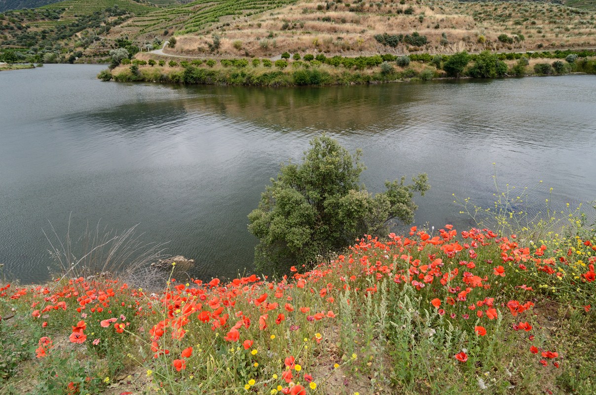 Douro, Portugal