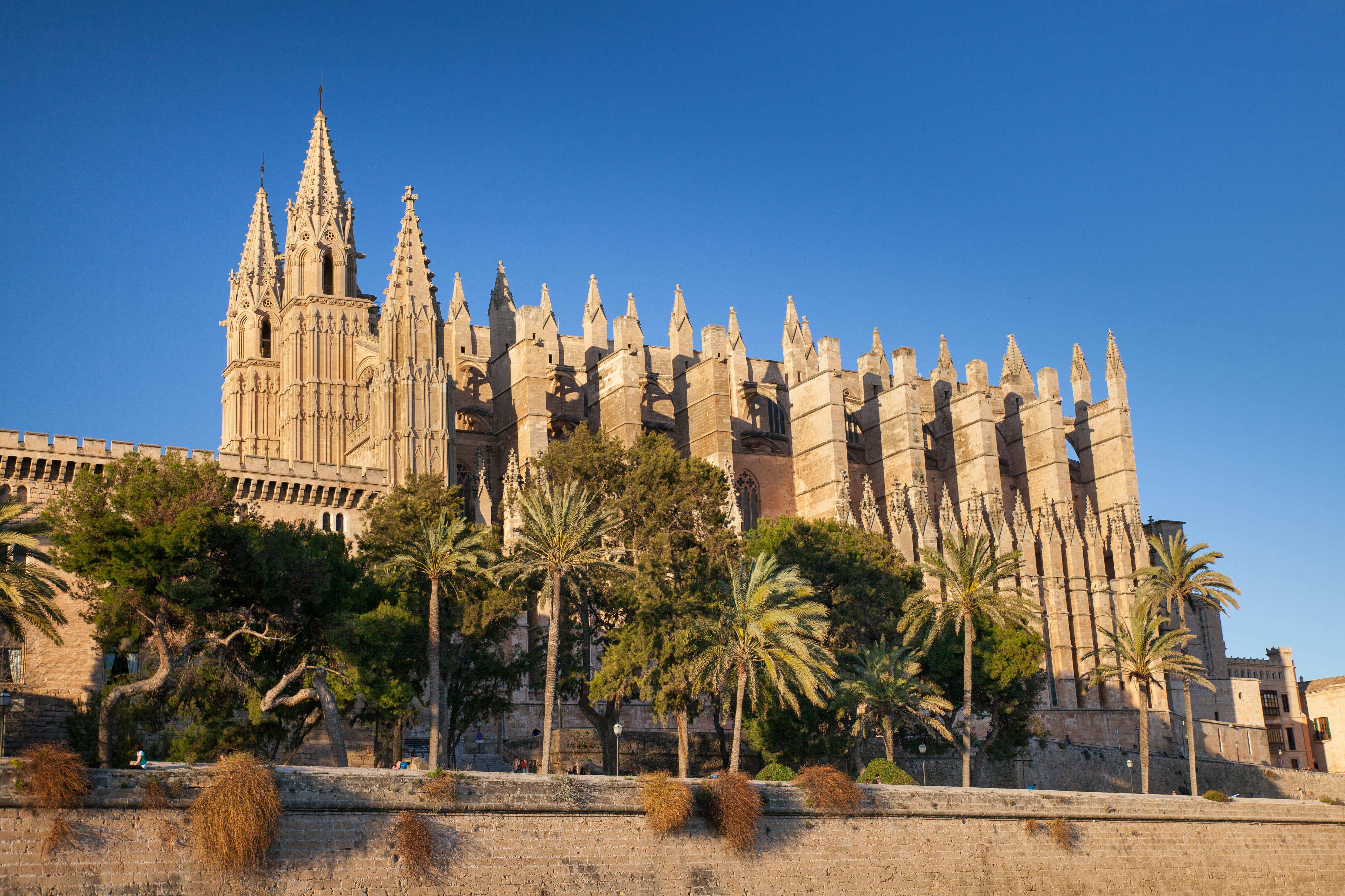 La Seu Cathedral 