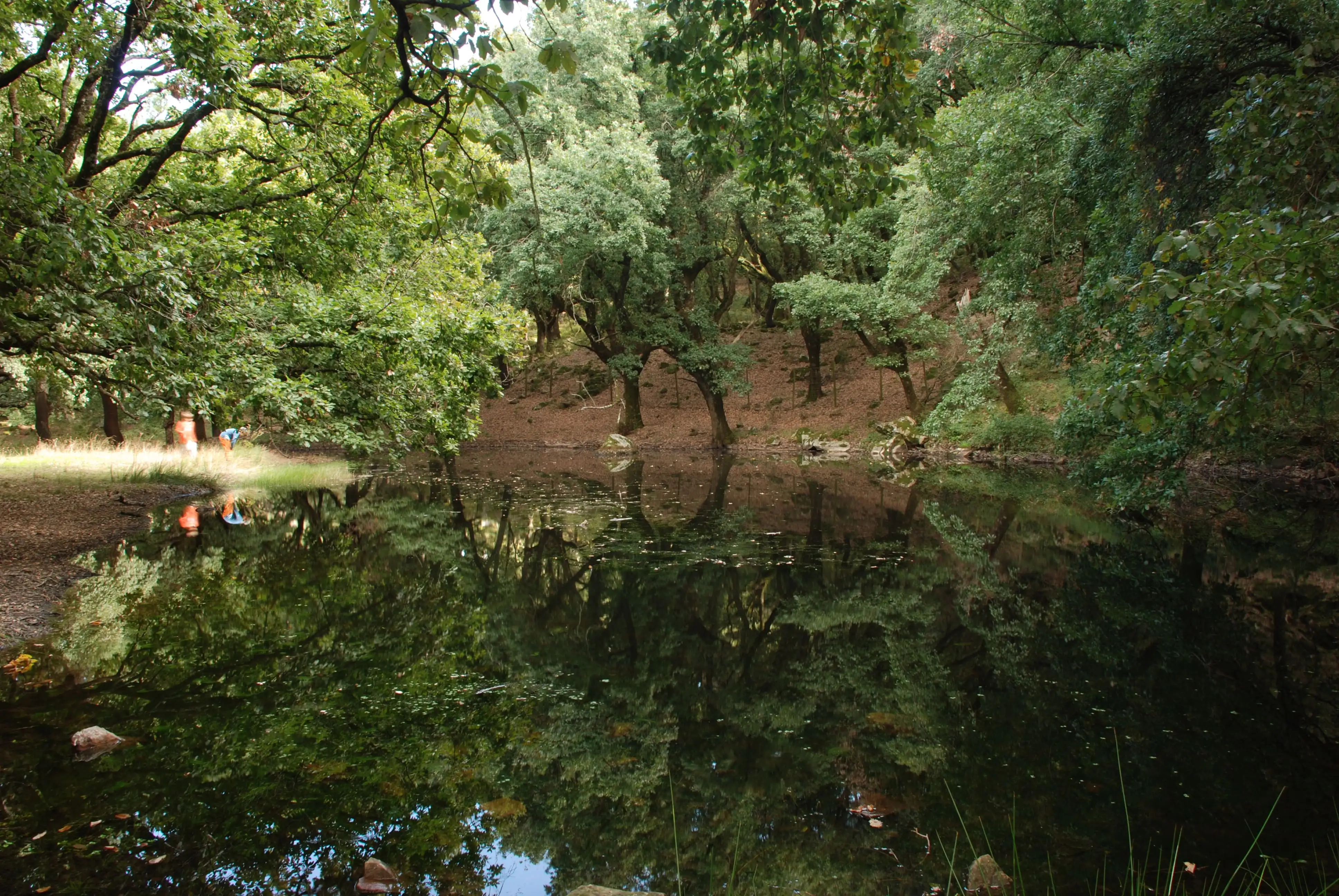 La laguna del Moral 