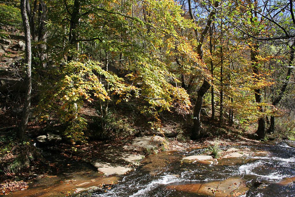 Parque Natural del Montseny 