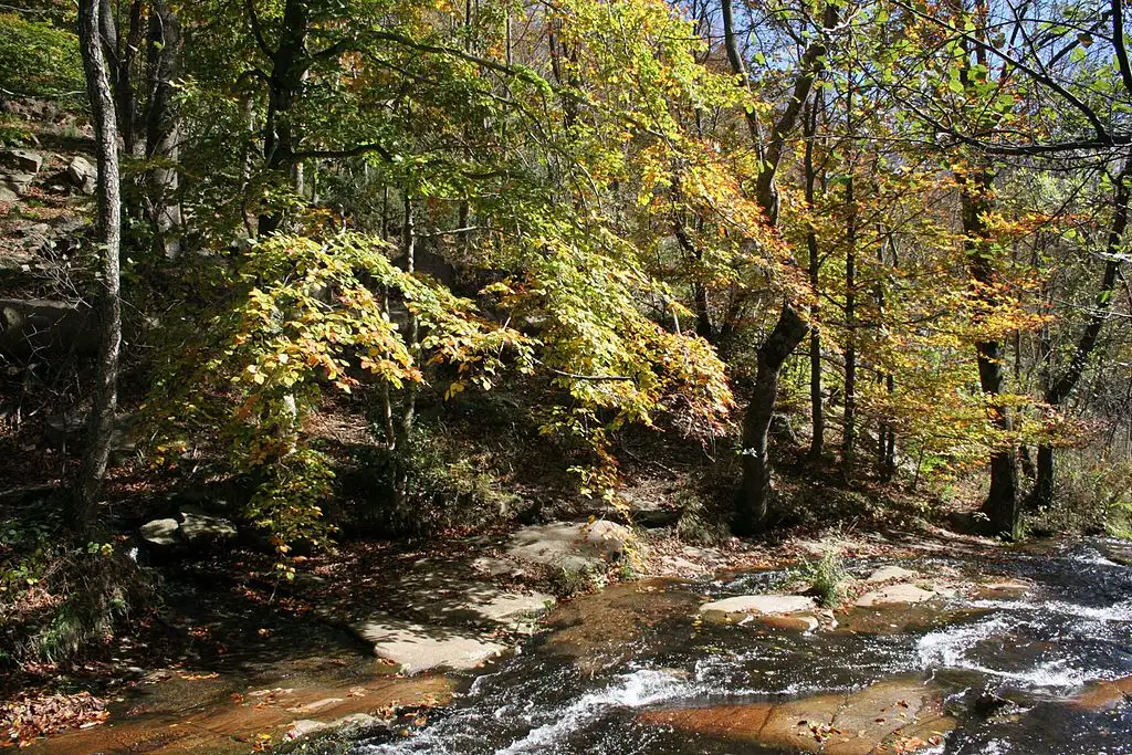 Parque Natural del Montseny