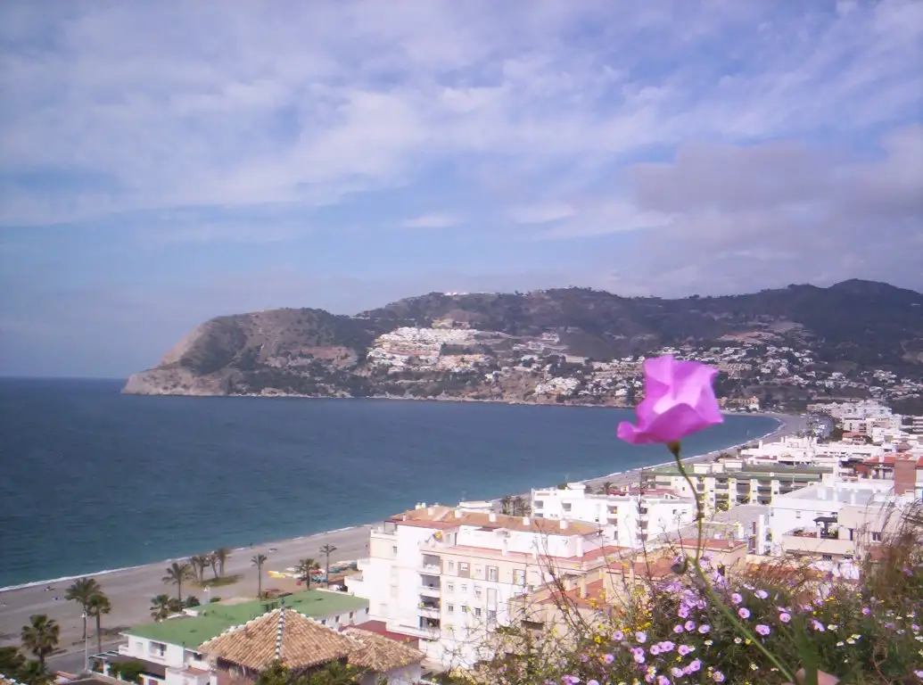 Playa de La Herradura 