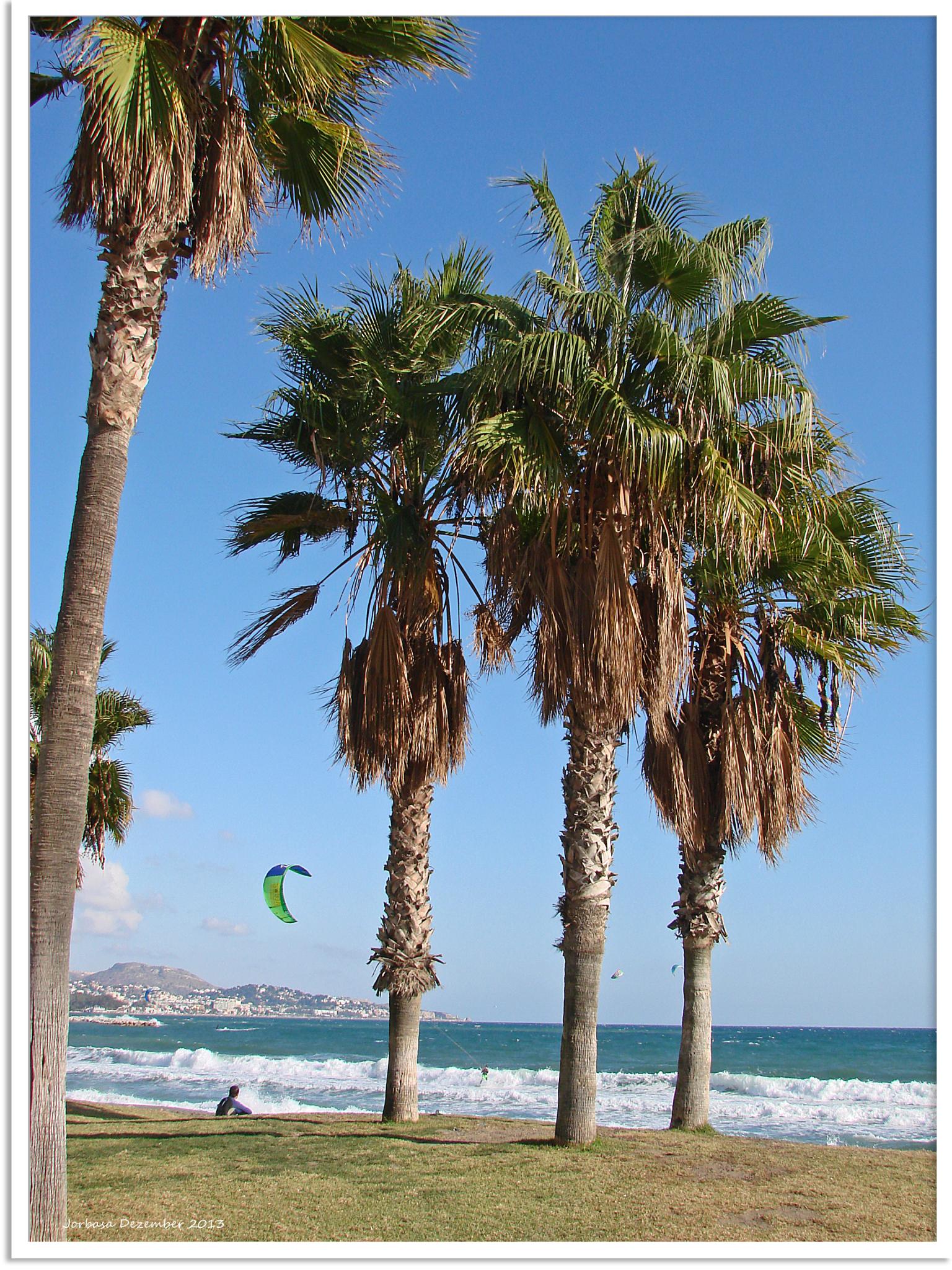 Playa de La Malagueta