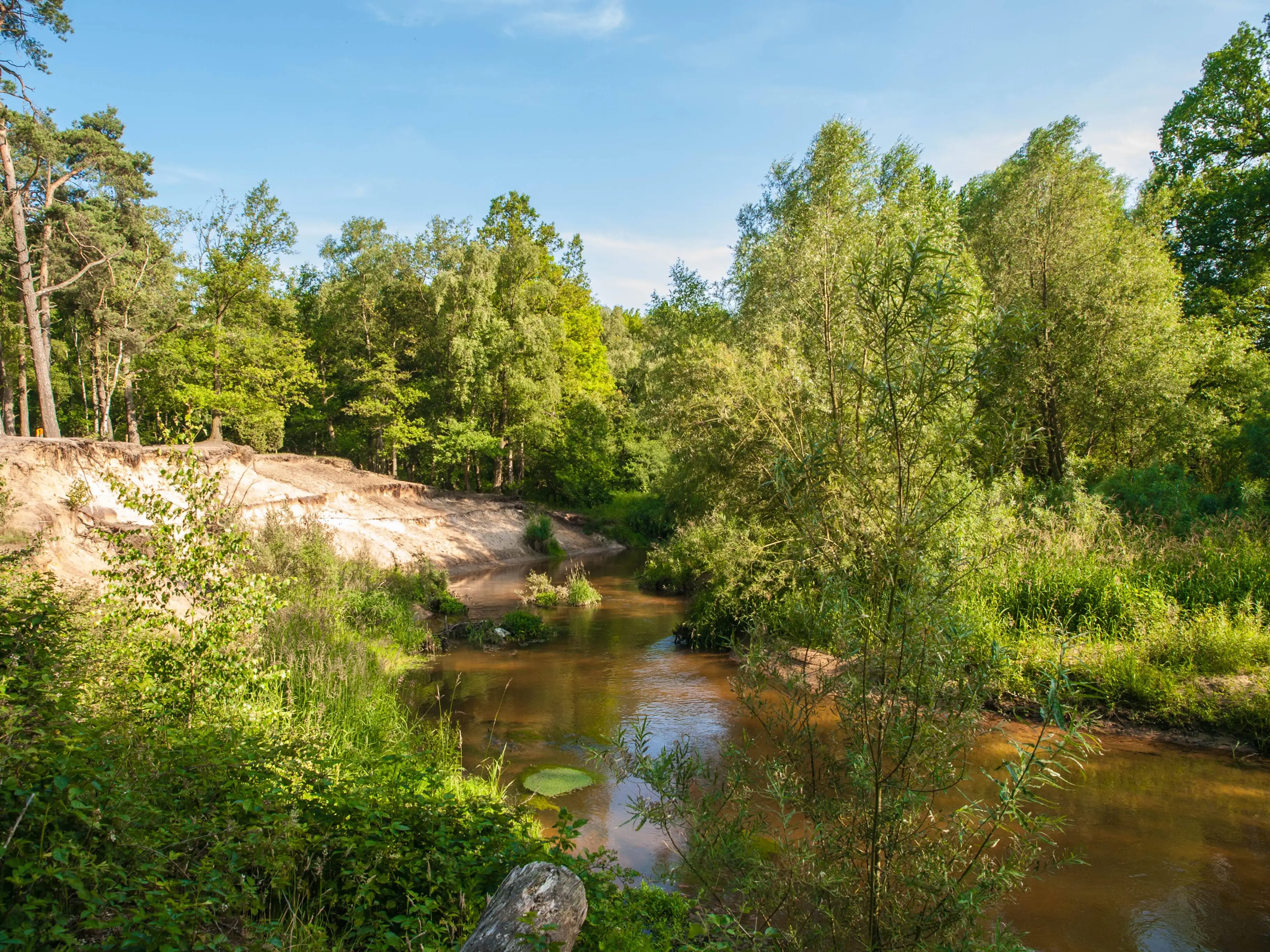 Rivier de Dinkel - De Lutte - Overijssel