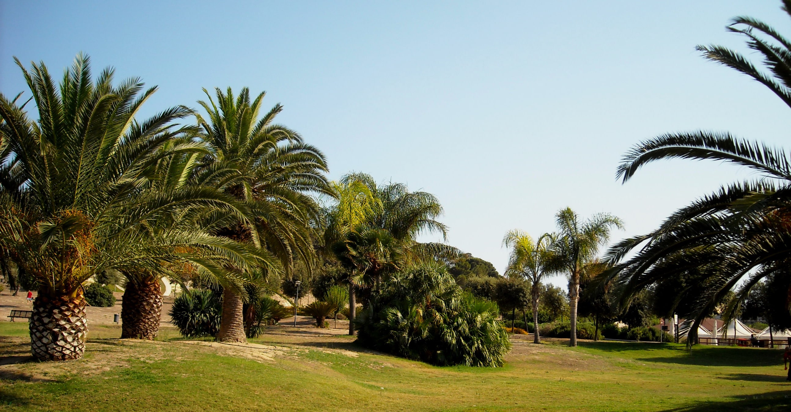 Summer in Casteddu