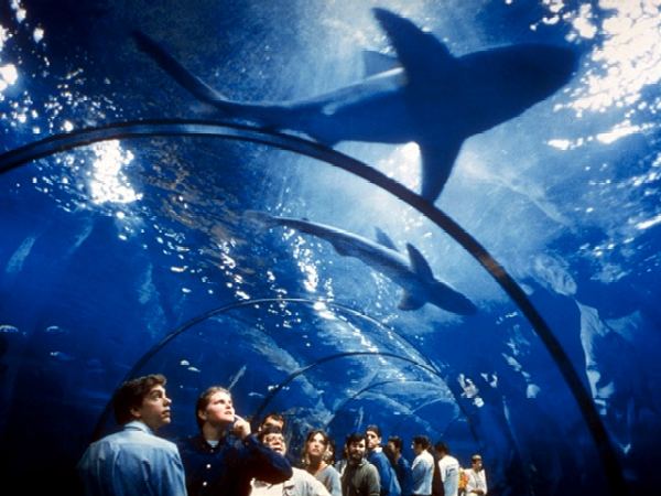 Durchgangstunnel im Aquarium von Barcelona