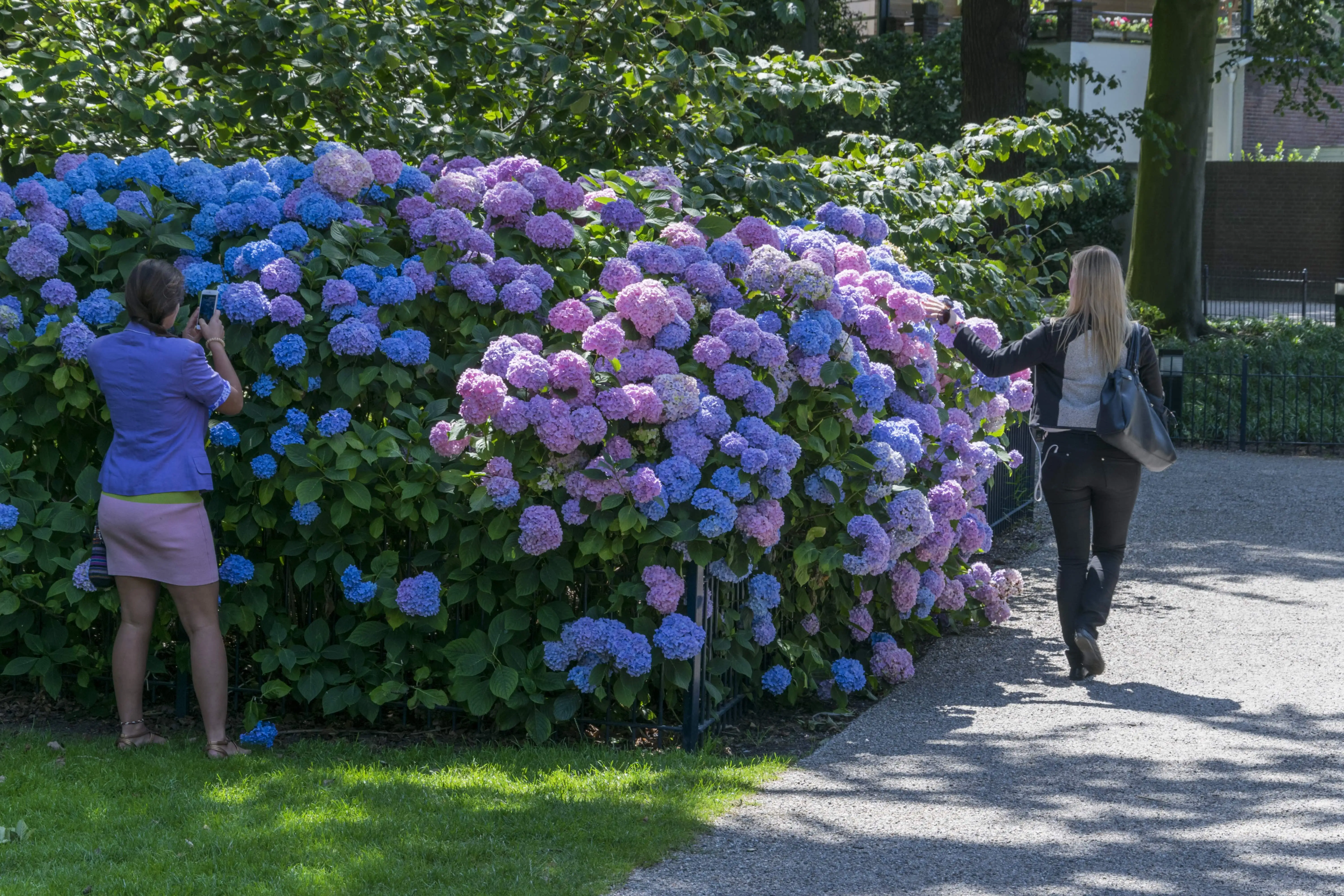 The same colours, Palace garden, The Hague