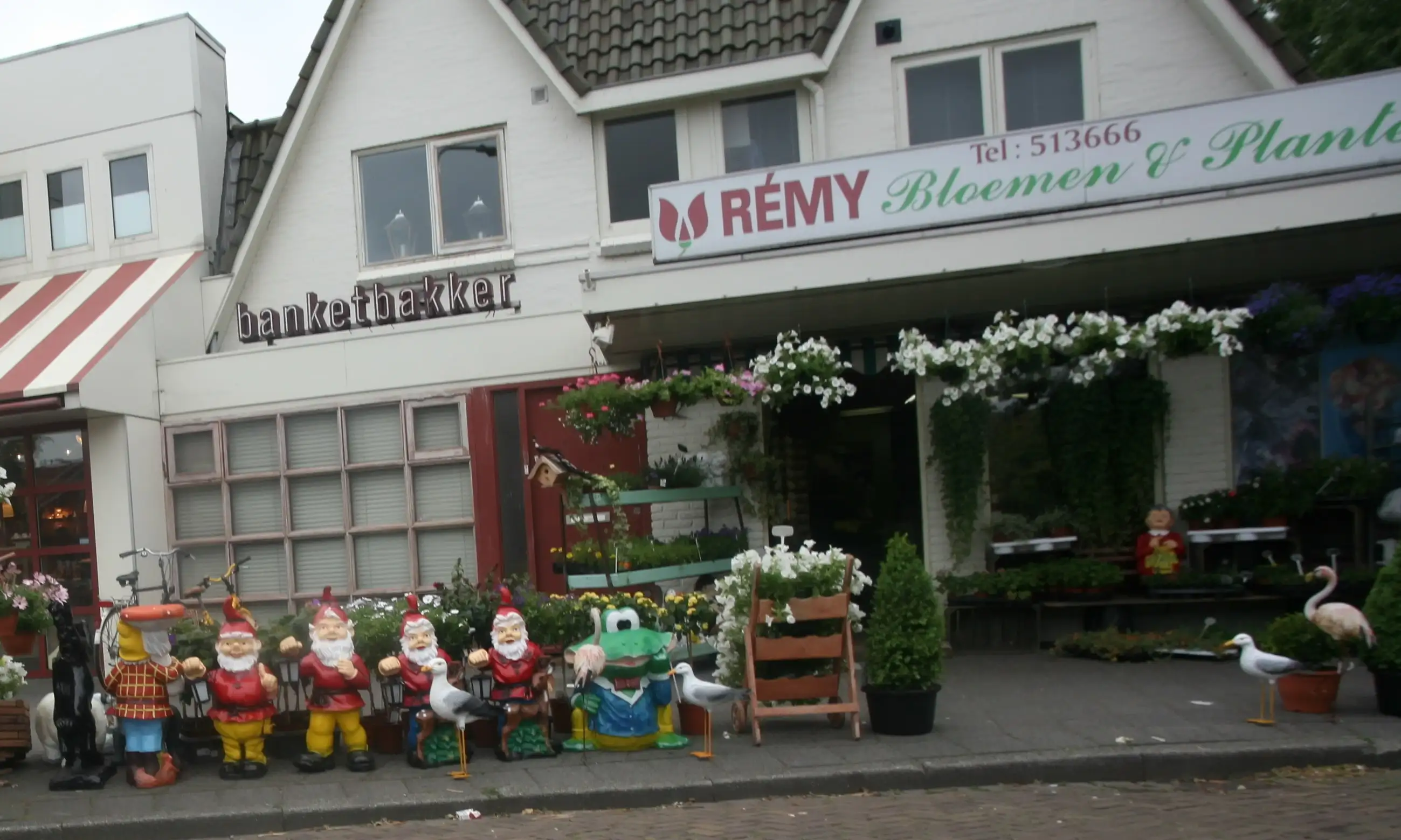 kabouterwinkel,gnomeshop