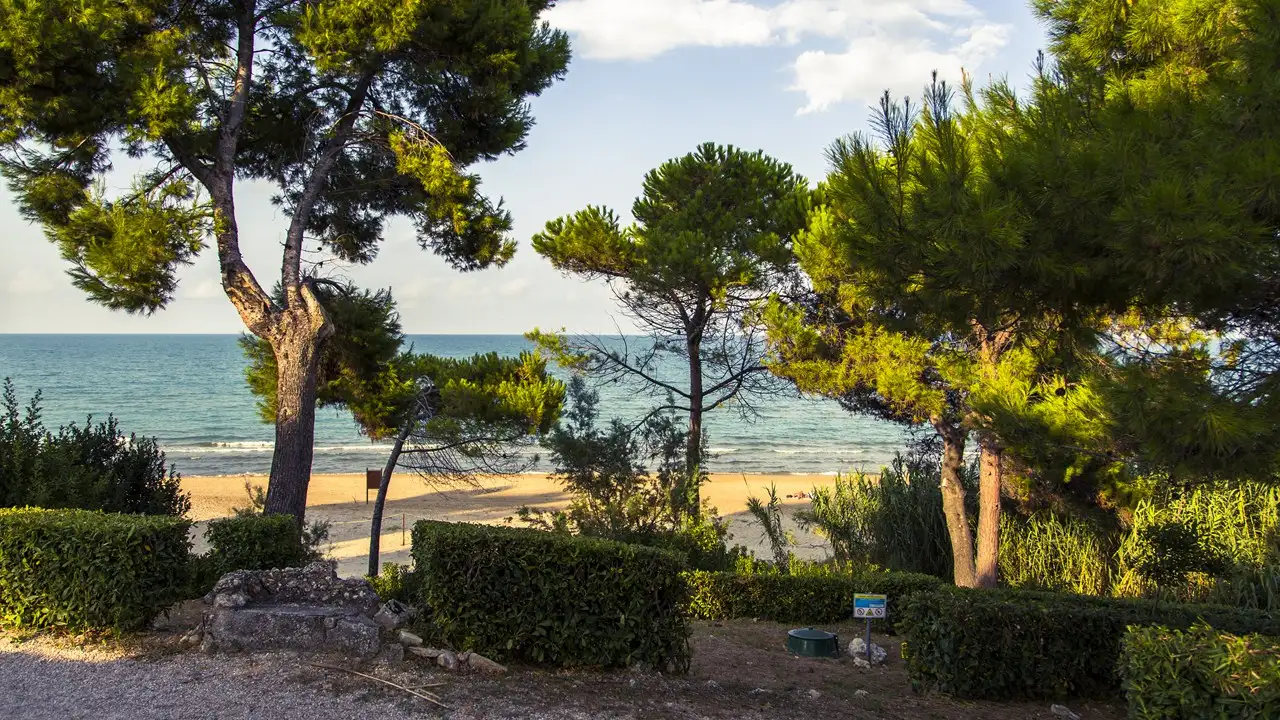 Abruzzo, Pineto