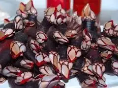 Percebes asturianos