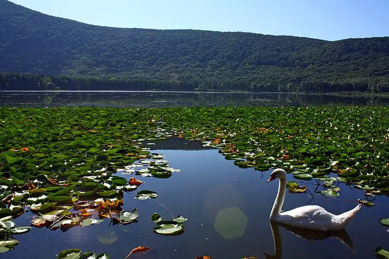 Basilicata- Lago Piccolo