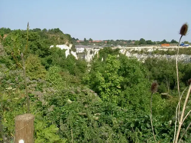 Chafford Gorge.