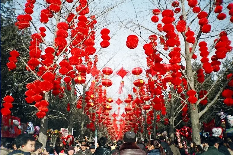 Festival at the Temple of Earth