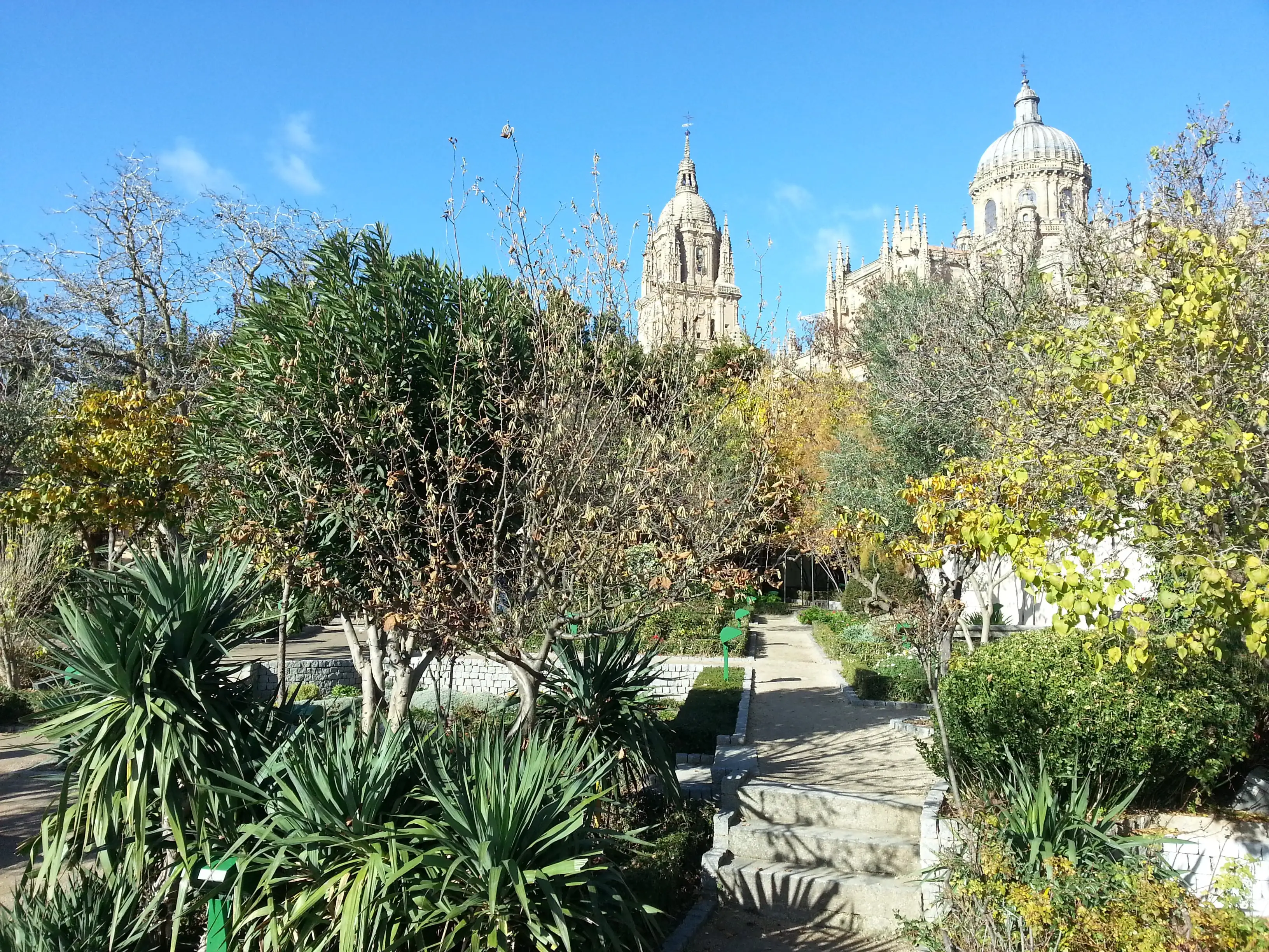 Huerto de Calixto y Melibea, a small garden near the Cathedral