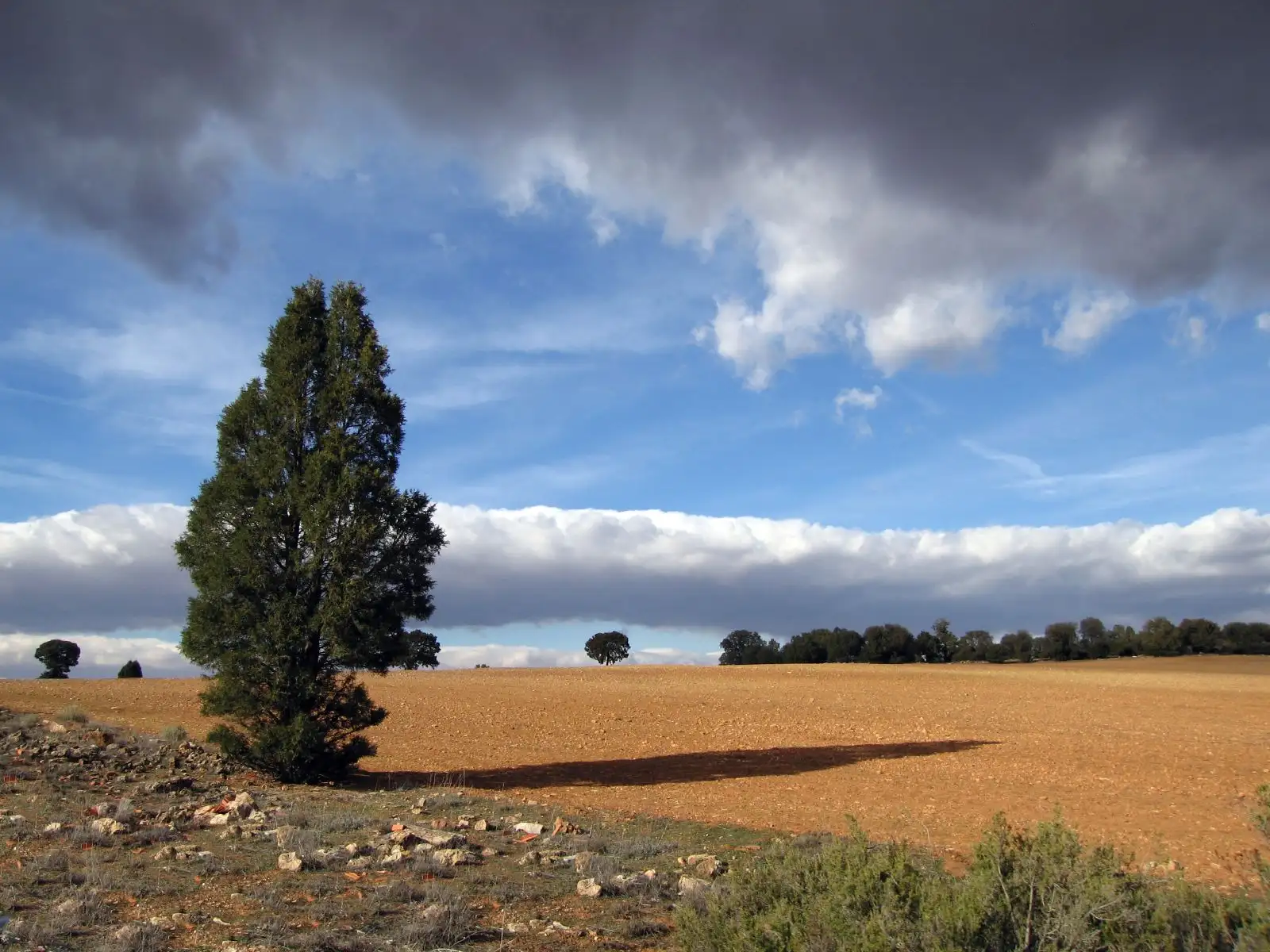 [Ruta de El Quijote] Campo de Montiel, Ciudad Real