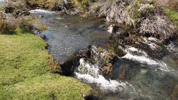 Senderismo-por-el-Parque-Nacional-del-Hayedo-de-Tejera-Negra