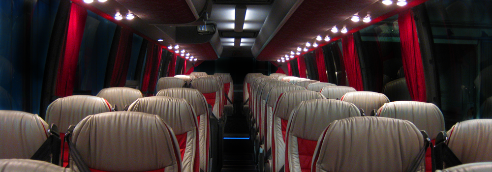 VIP LIMOUSINE FRANCE vip coach