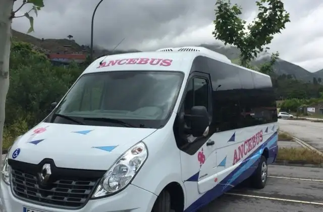 ancebus 19