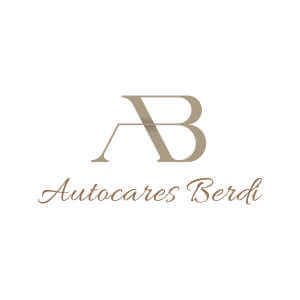 Autocares Berdi SL logo