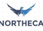 Northeca Oü logo