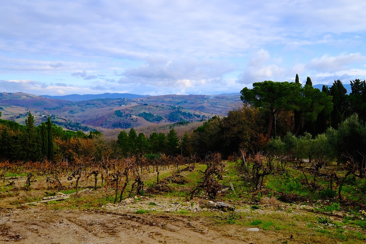 Wine Tasting in Chianti