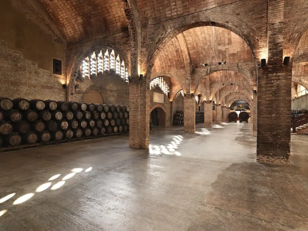 Tour por el interior de Bodegas Codorniu