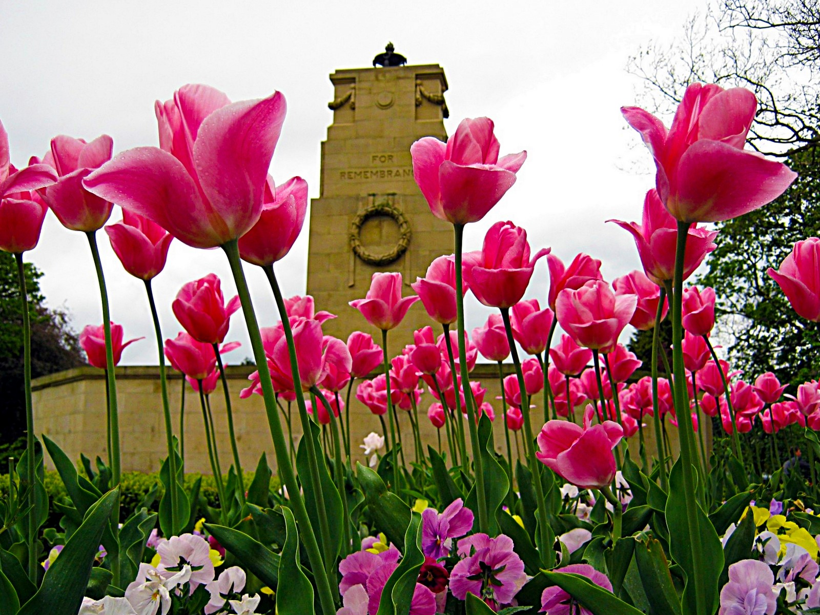 Rotherham Clifton Park