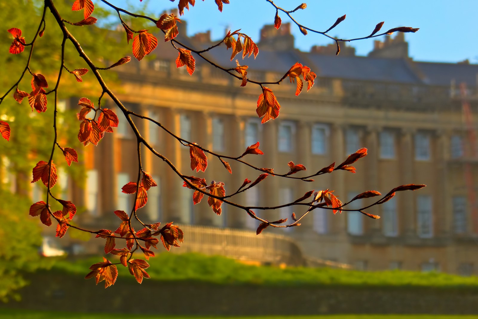 Royal Crescent