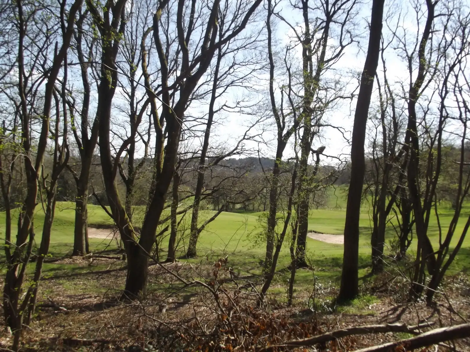 The walk up the steep hill - Beacon Hill - Lickey Hills Country Park