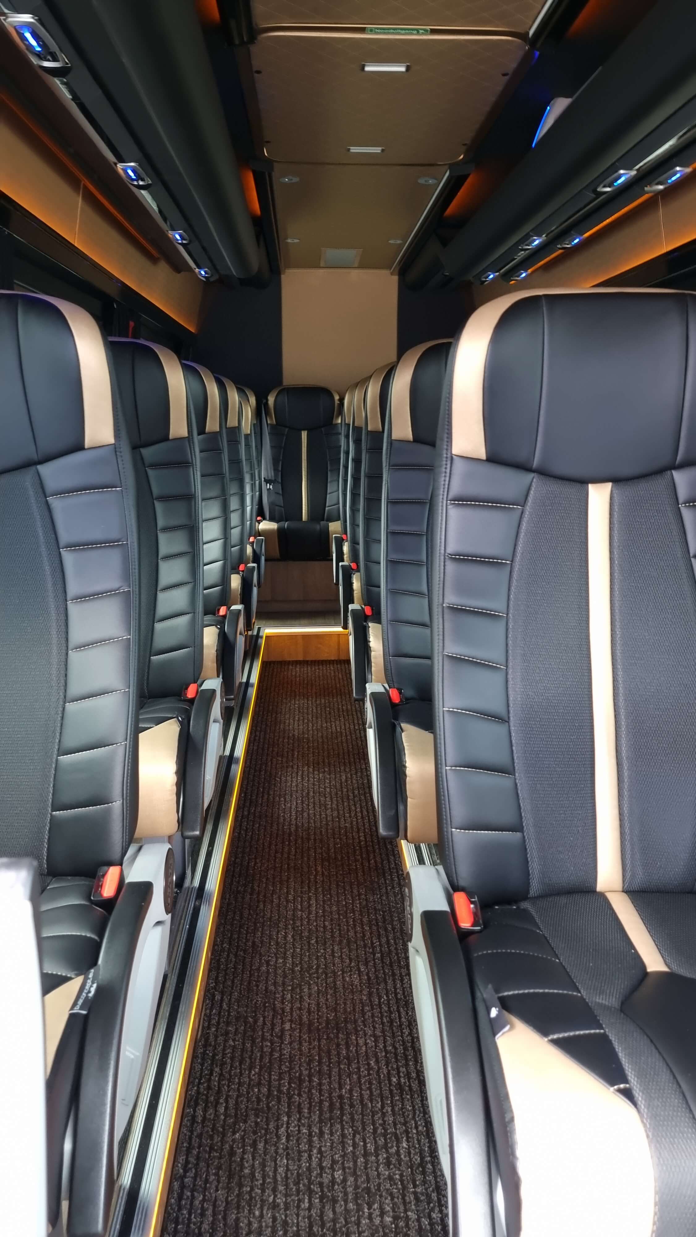 Alquile un Midibus de 20 plazas Mercedes VIP Sprinter 2021) de Direct Vip Service de Amsterdam