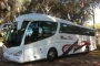 Hire a 55 seater Standard Coach (IRISBUS EURORIDER AUT 2004) from MASA DIAZ S.L in ESCALONA 