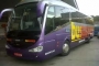 Mieten Sie einen 54 Sitzer Standard Coach ( Autocar estándar con los servicios básicos  2008) von BUSNAVARRO in Ontinyent 