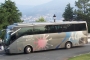 Mieten Sie einen 46 Sitzer Standard Coach ( Autocar estándar con los servicios básicos  2008) von TRANSHOSTE BABEL in Novelda 