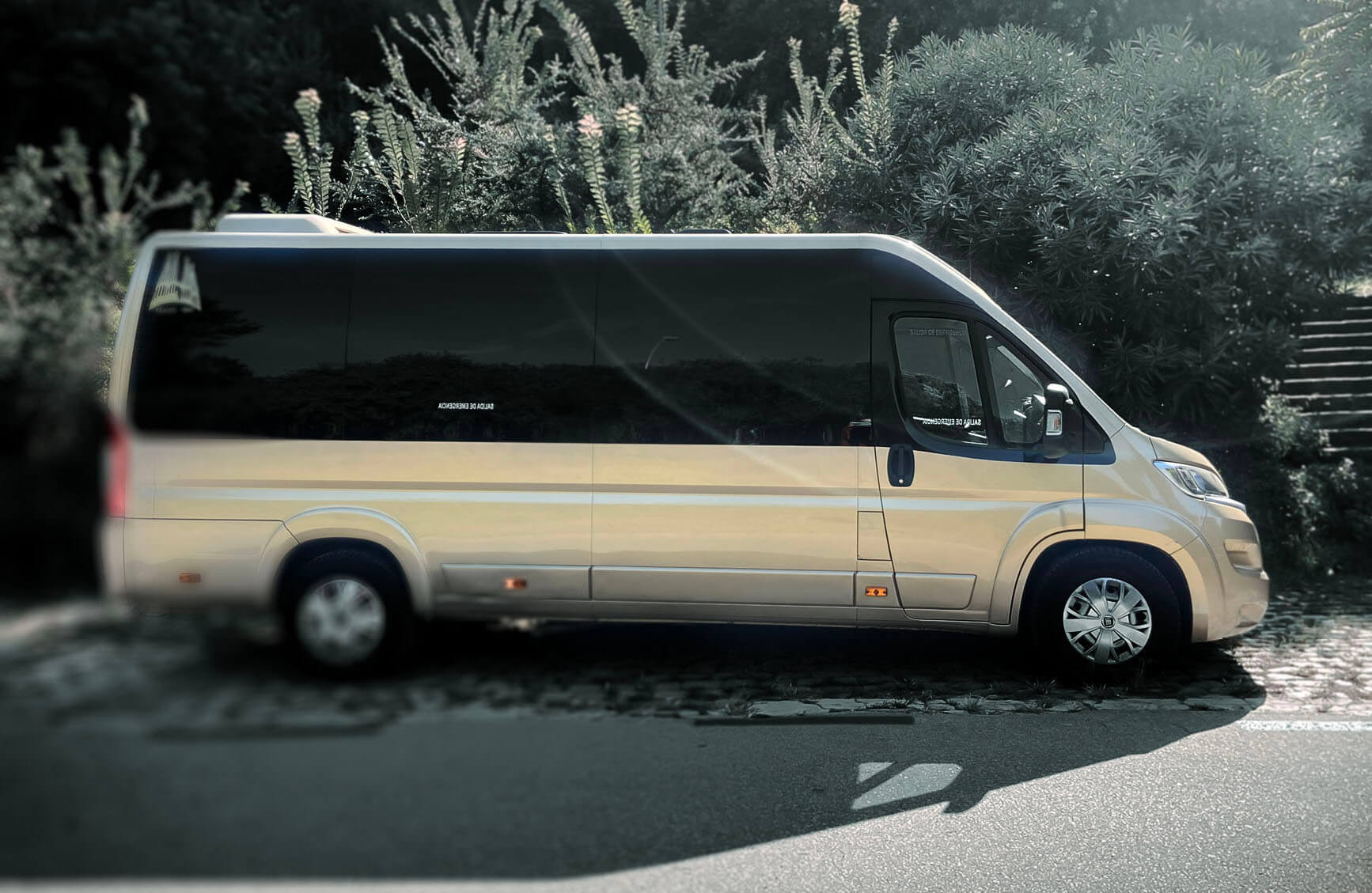 Hire a 13 seater Microbus (Fiat Ducato 2016) from Bcn City Bus Tour s.l. in Viladecavalls 