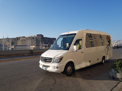 Noleggia un Minivan 7 posti Mercedes Viano 2013) da Esposito Travel de Castello di Cisterna Na 