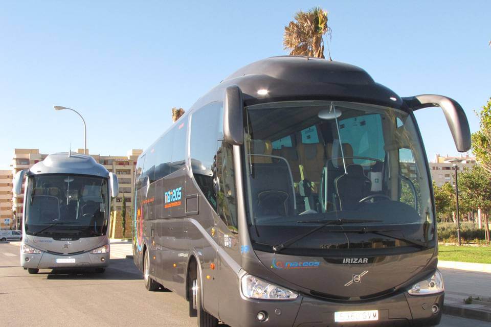 Hire a 56 seater Standard Coach (. Autocar estándar con los servicios básicos  2010) from AUTOCARES MATEOS in Málaga 